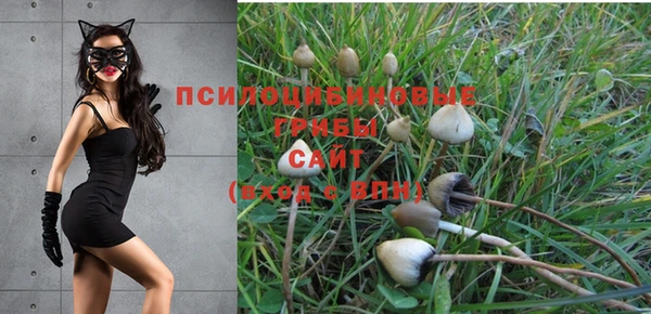 соль курить ск Алексин