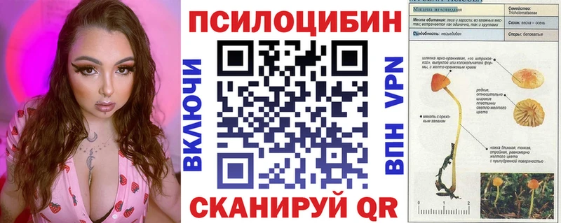 Псилоцибиновые грибы Psilocybine cubensis  Новая Ладога 